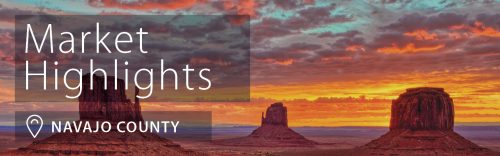 Navajo-County-Header